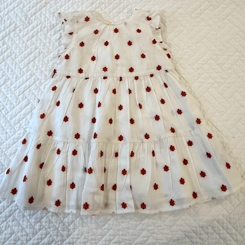Crewcuts White Dress with Red Ladybug Print